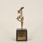 torso