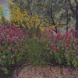 Santa Fe Flowers on Calle Rufina